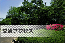 交通アクセス